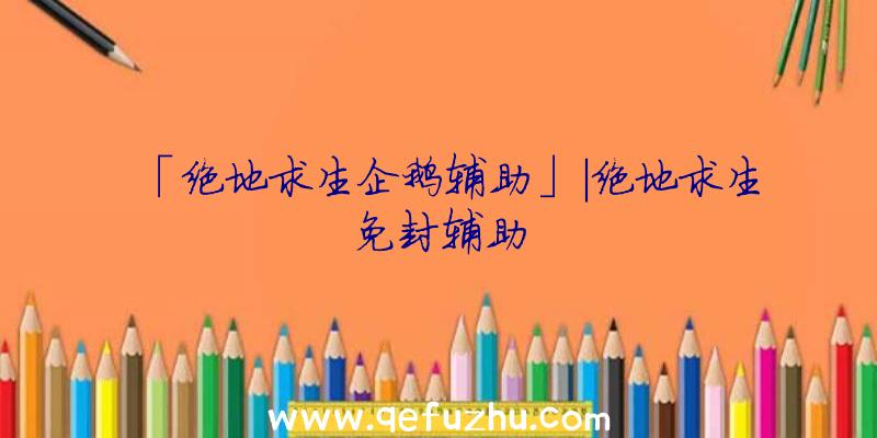 「绝地求生企鹅辅助」|绝地求生免封辅助